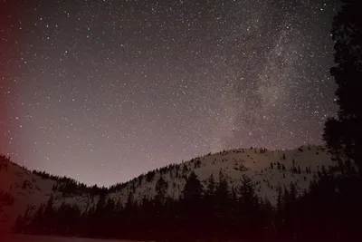 DSC_5983 (Large).JPG